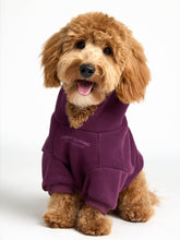 You Matter Paw Hoodie