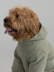 Coordinate Paw Hoodie - Pre-Order