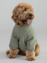 Coordinate Paw Hoodie - Pre-Order
