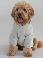 Tranquil Paw Hoodie -Pre-Order