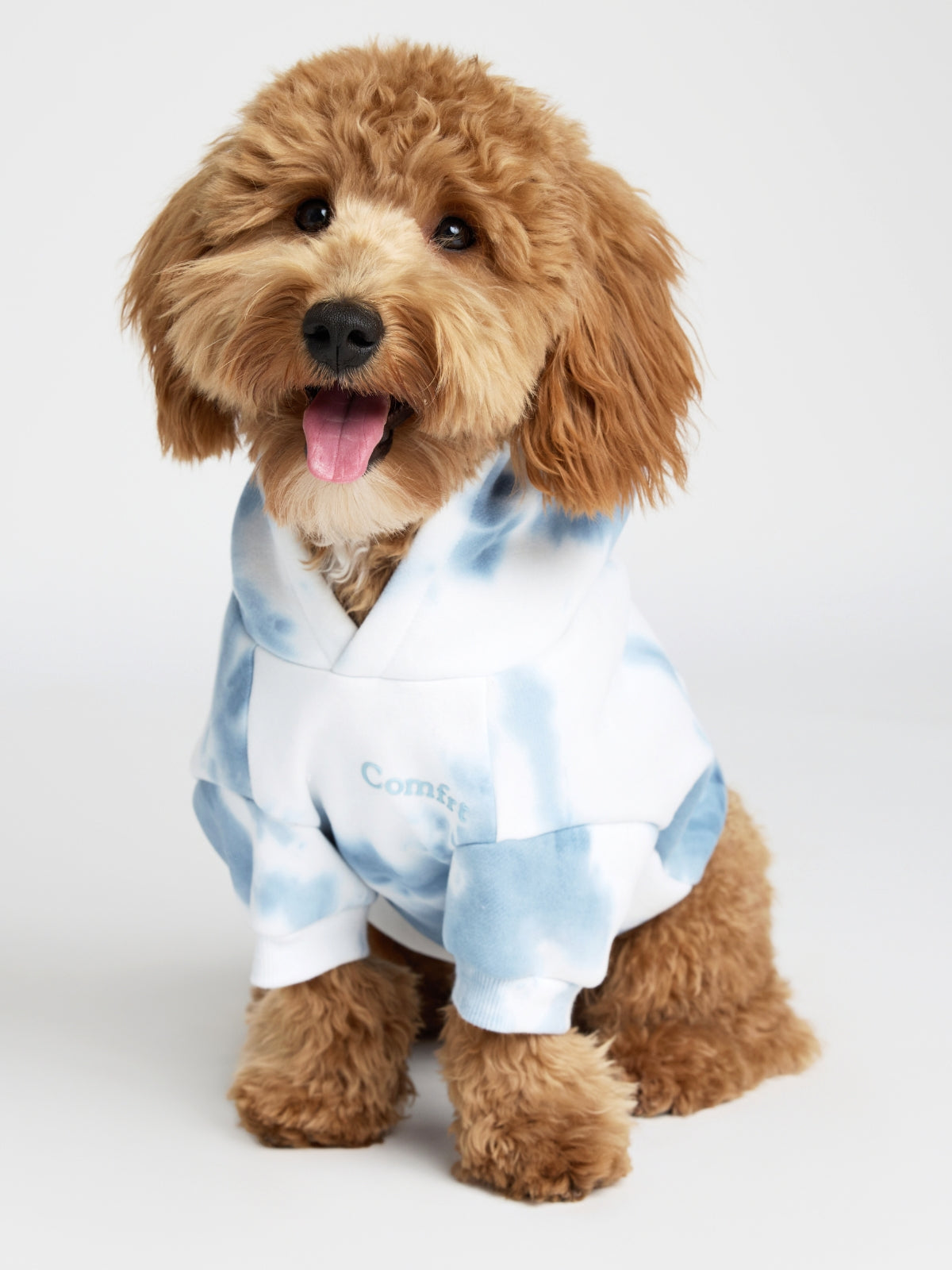 Minimalist Paw Hoodie