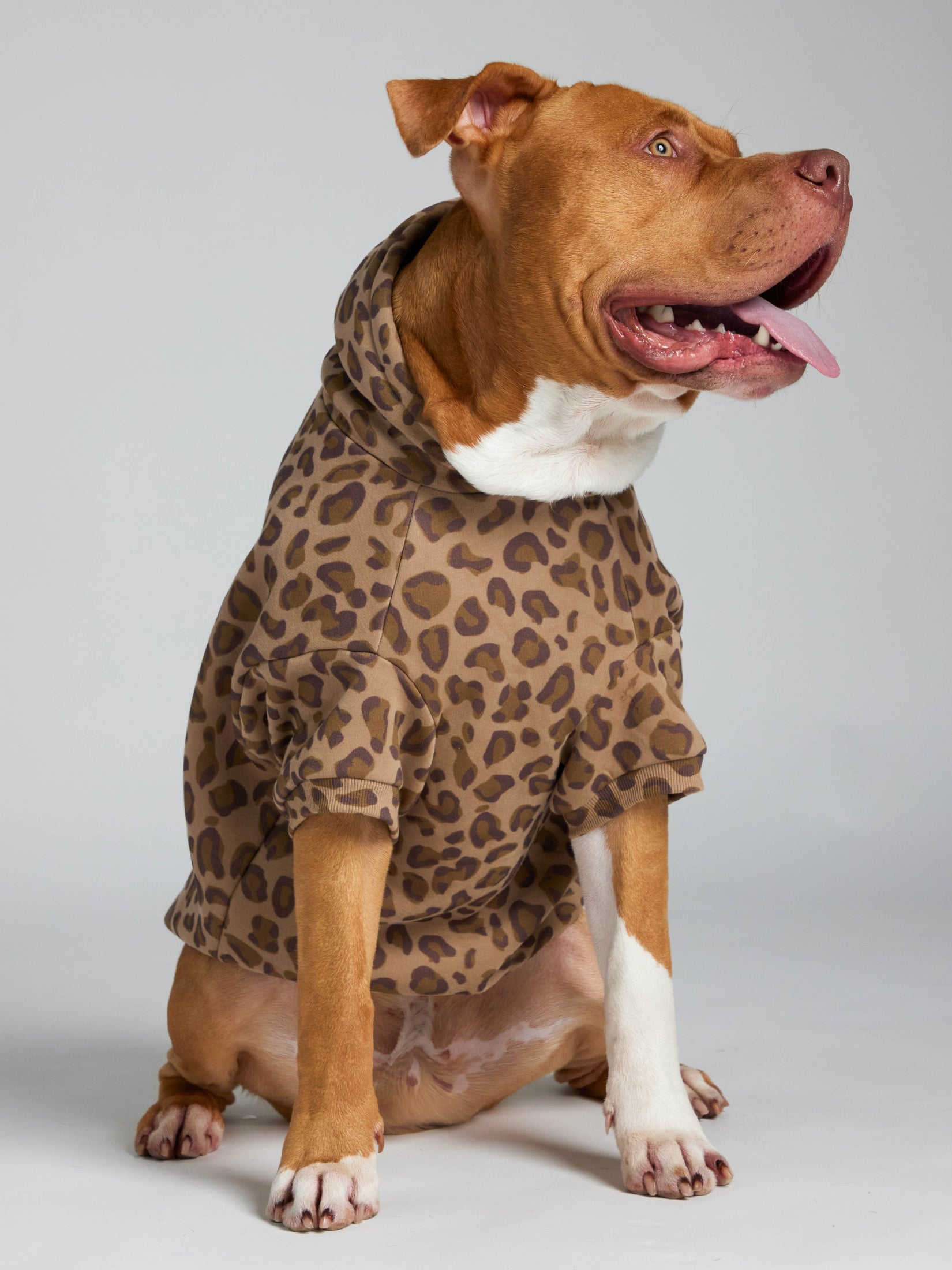 Minimalist Paw Hoodie