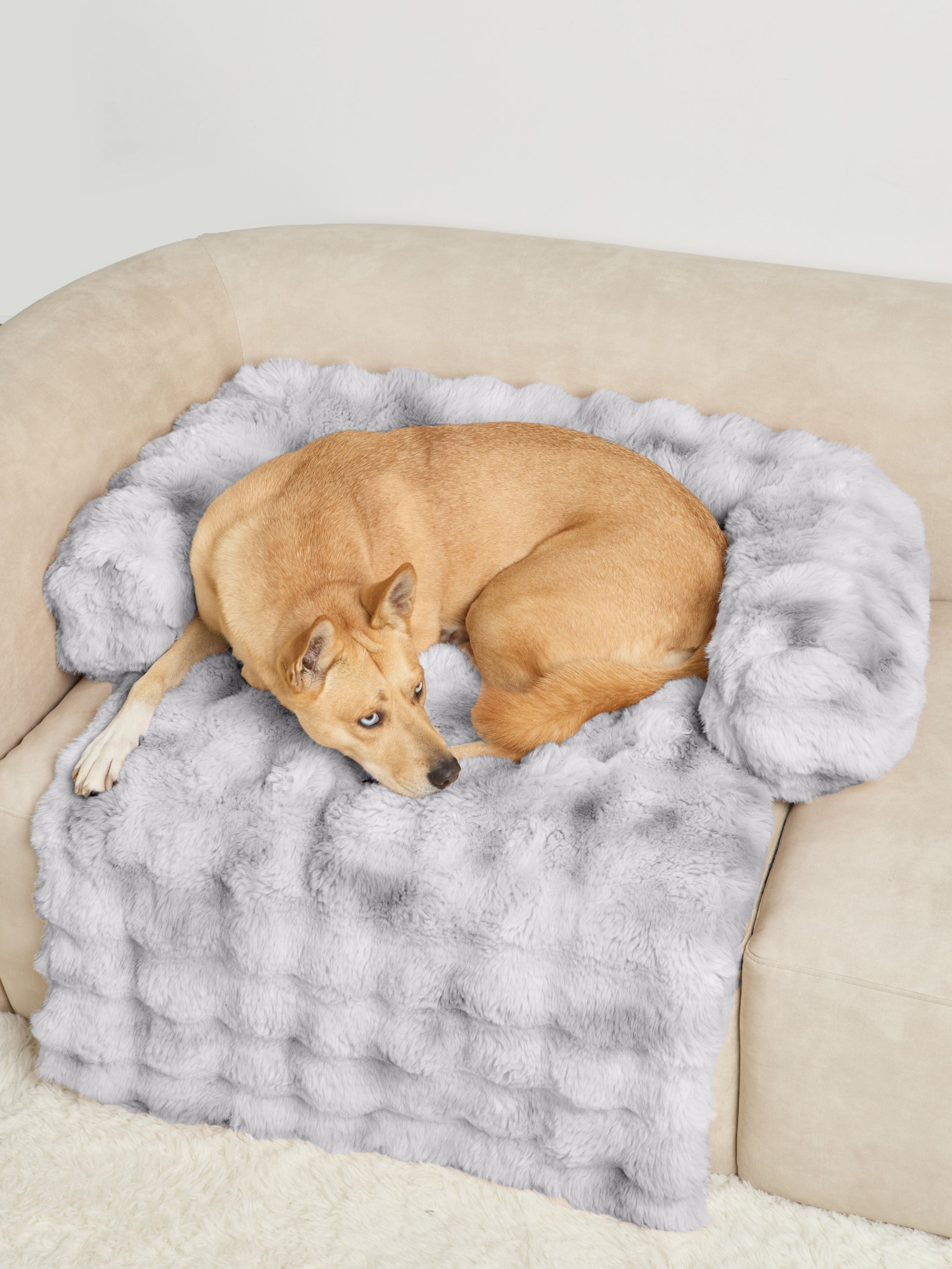 Dream Cloud Pet Sofa Bed - Pre Order