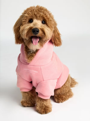 Paws Classics Bundle