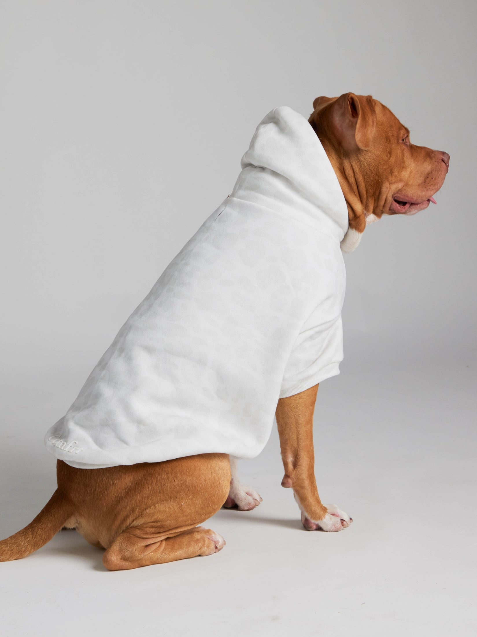Minimalist Paw Hoodie