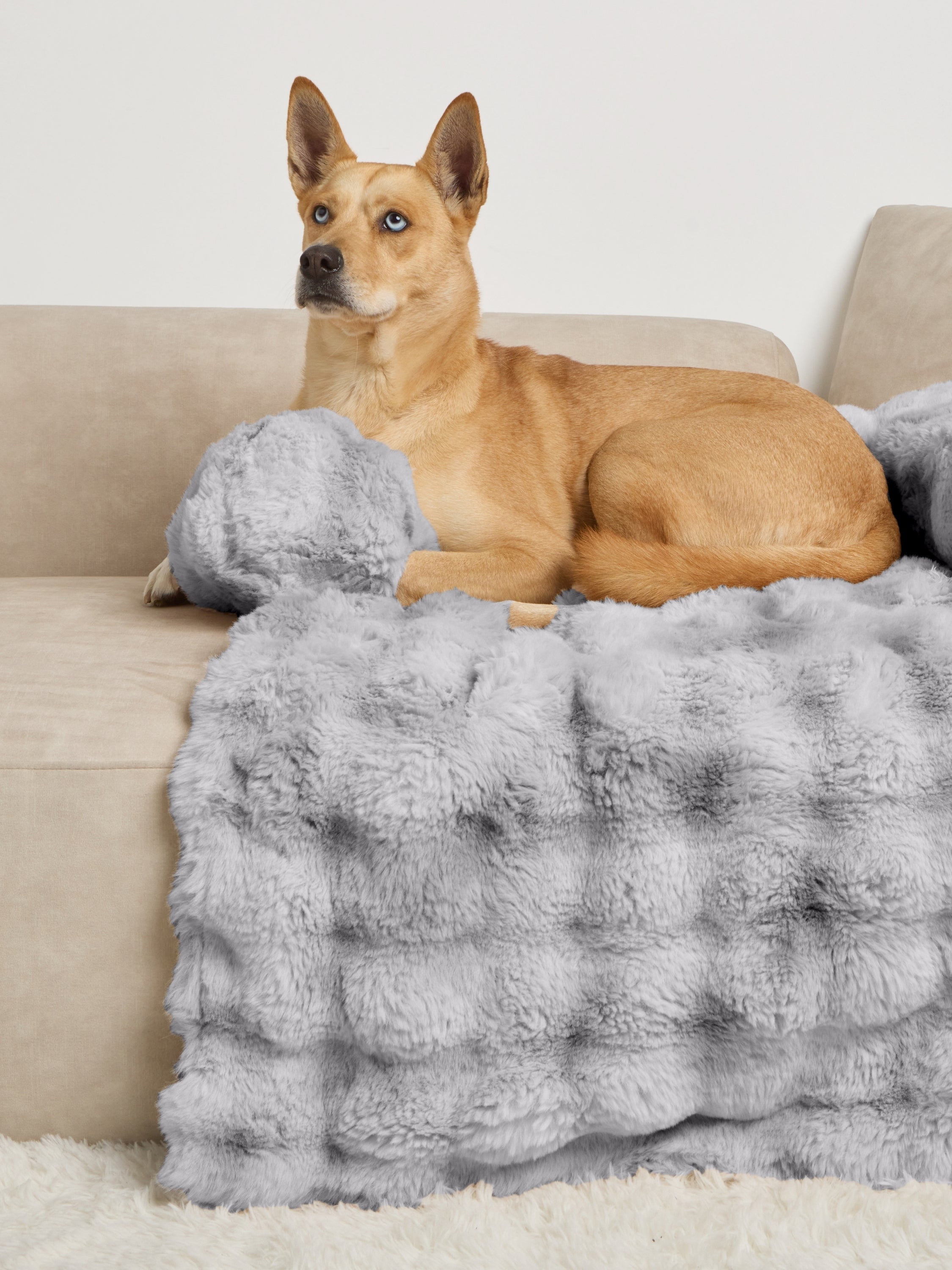 Dream Cloud Pet Sofa Bed - Pre Order