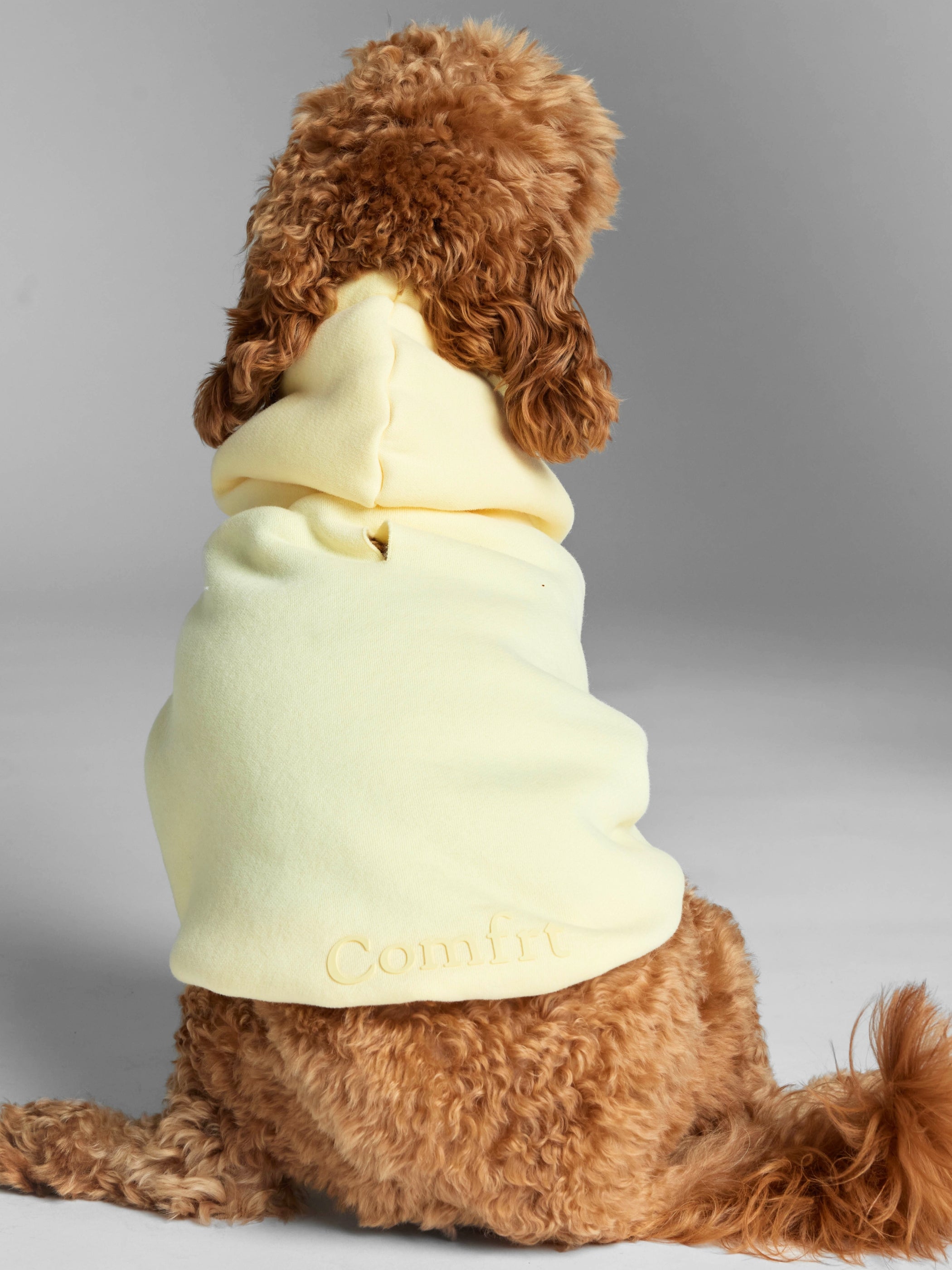 Minimalist Paw Hoodie