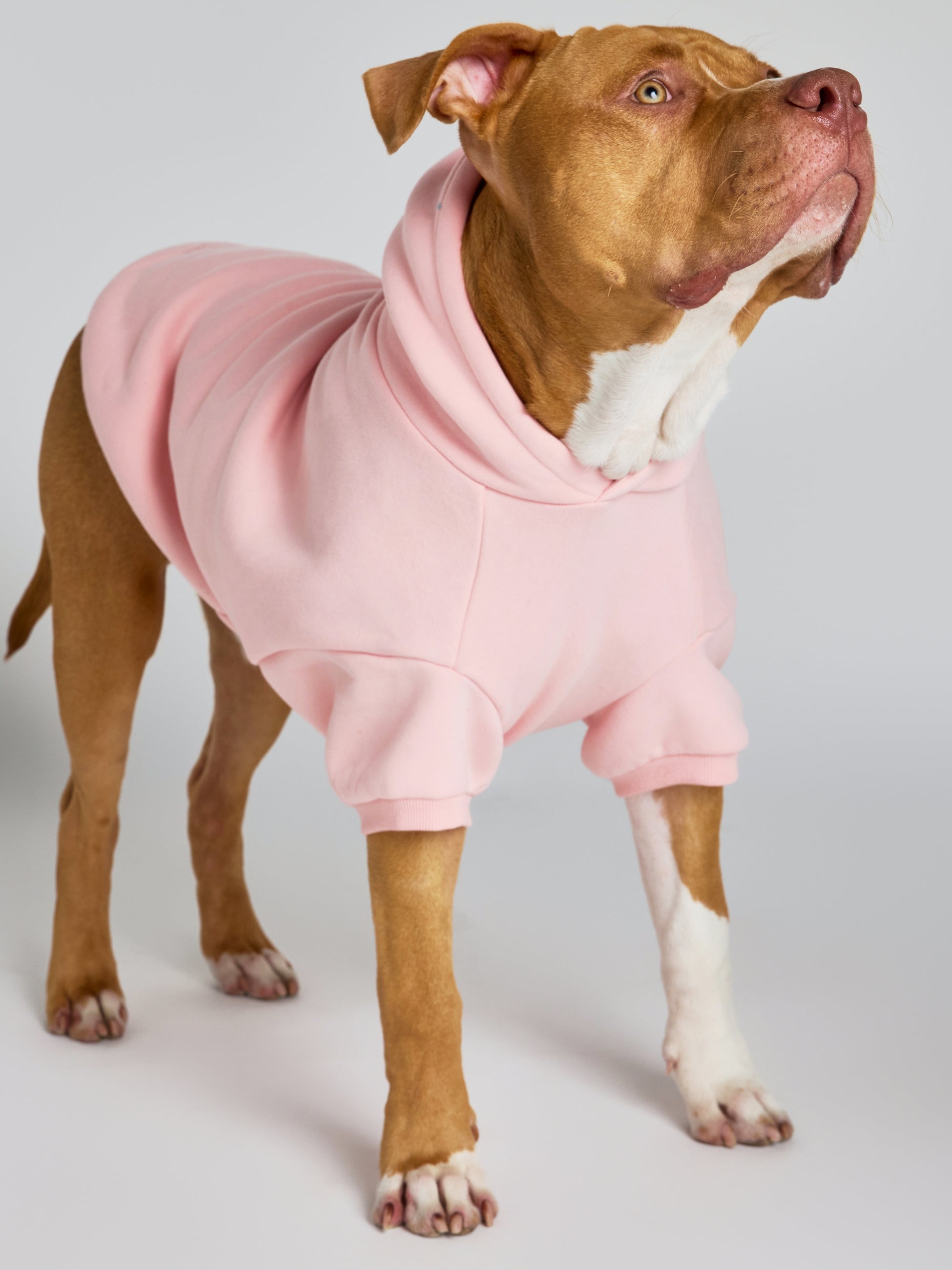 Pastel Paw Hoodie