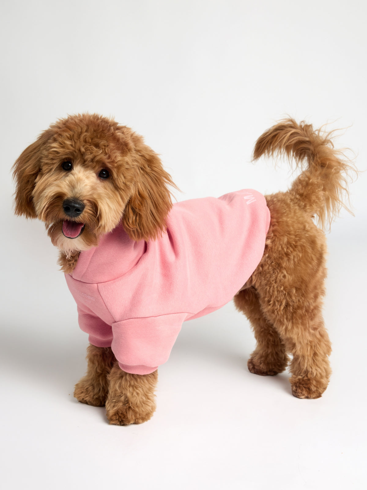 You Matter Paw Hoodie