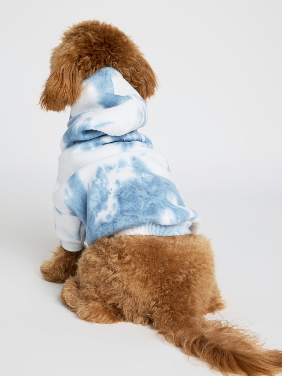 Minimalist Paw Hoodie - Pre-Order