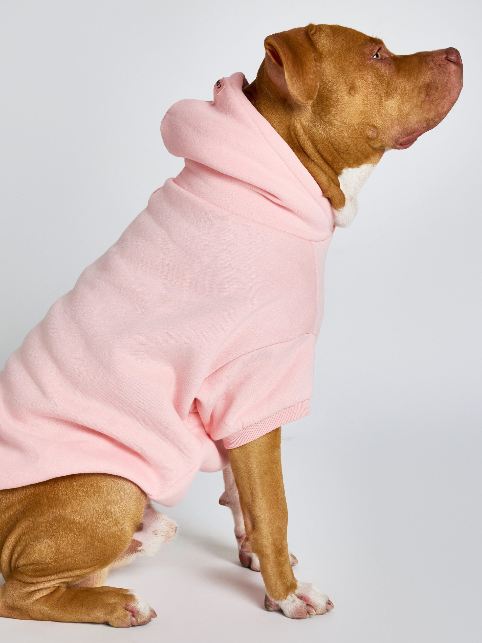 Pastel Paw Hoodie