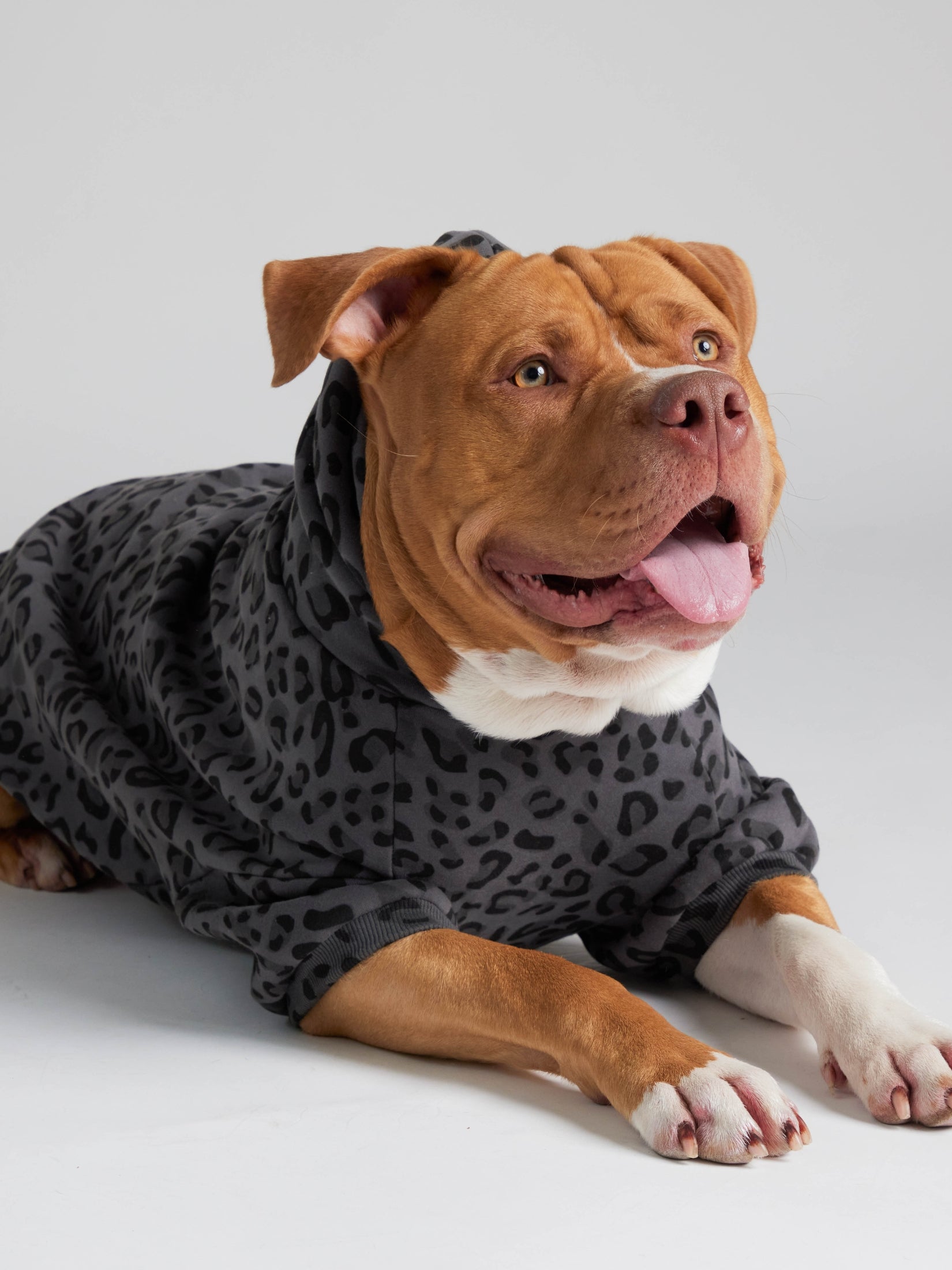 Minimalist Paw Hoodie - Pre-Order