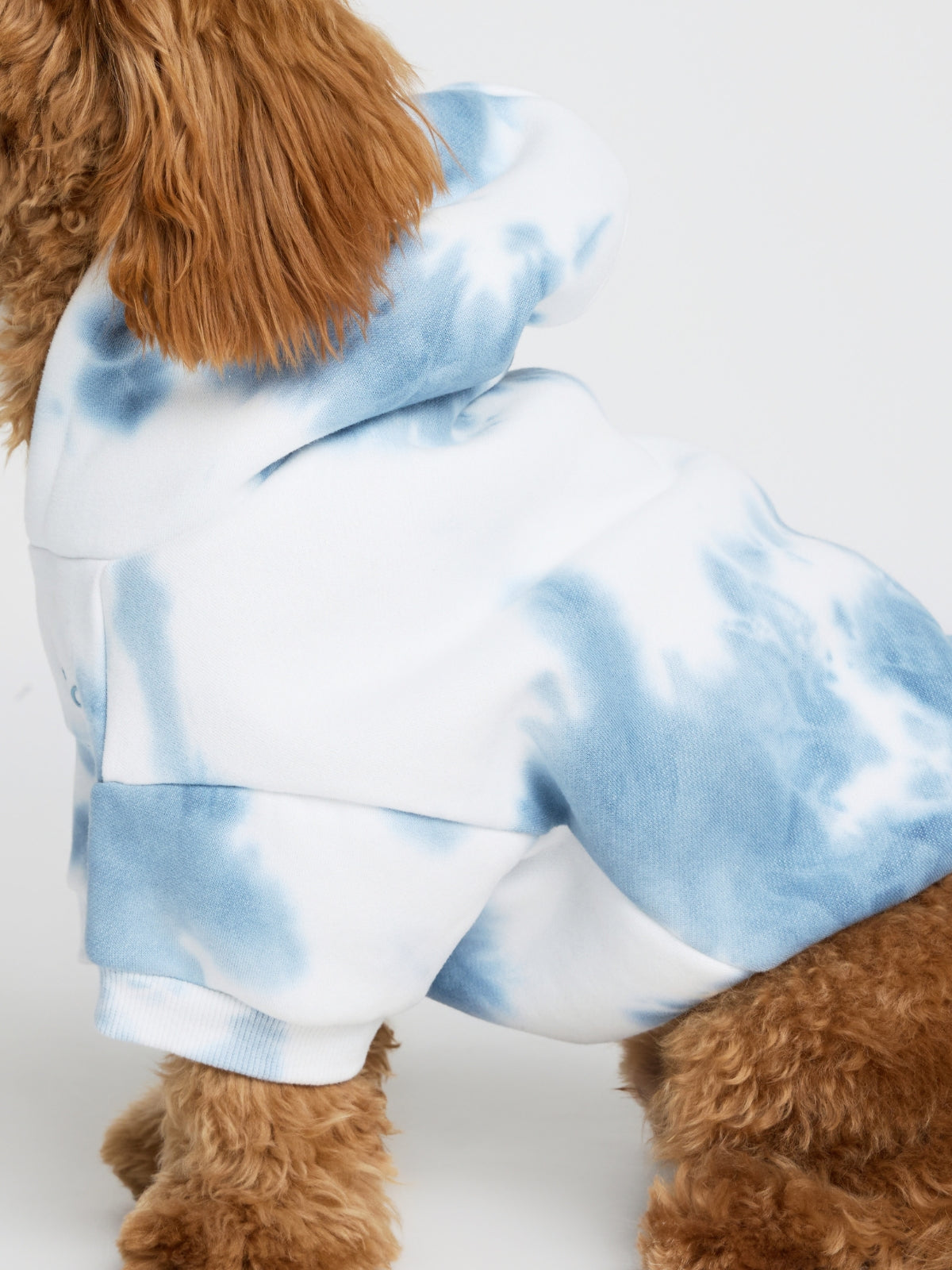 Minimalist Paw Hoodie - Pre-Order