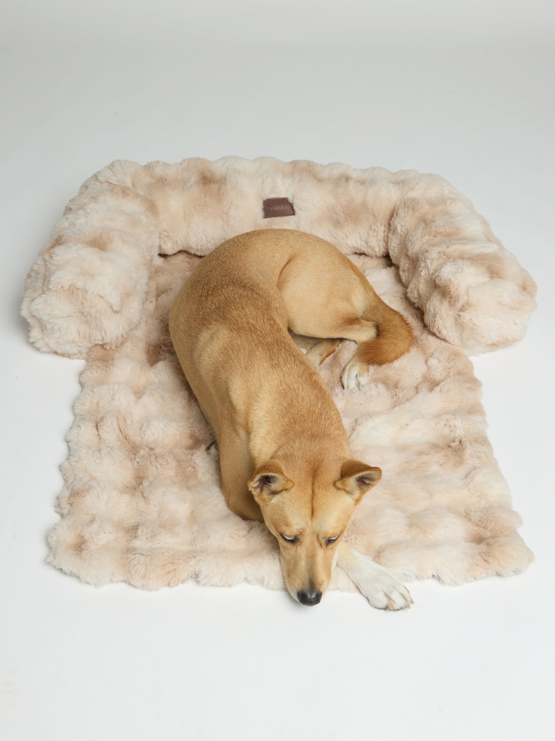 Dream Cloud Pet Sofa Bed - Pre Order