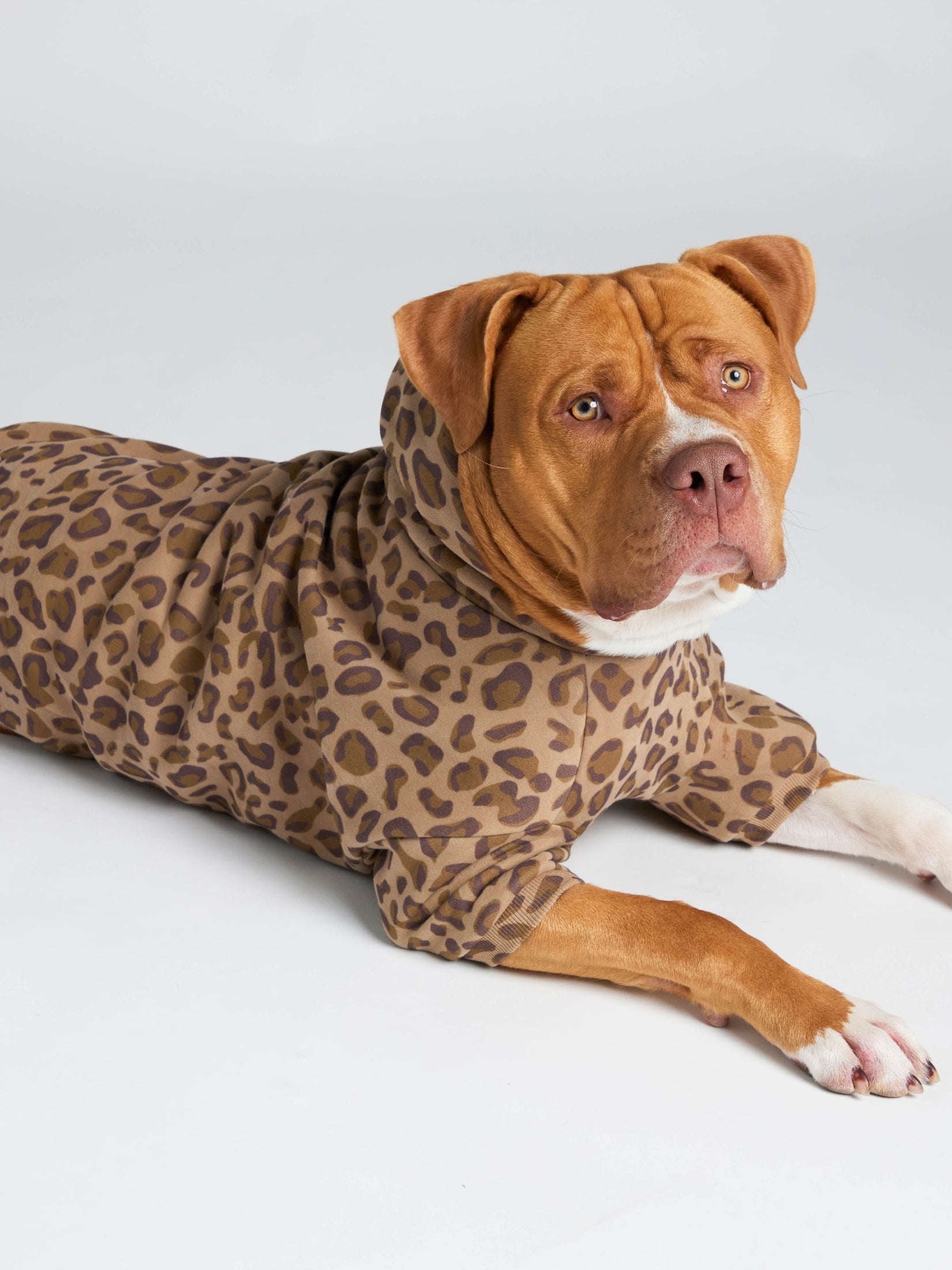 Minimalist Paw Hoodie