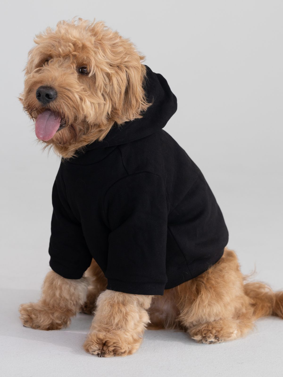 Tranquil Paw Hoodie -Pre-Order