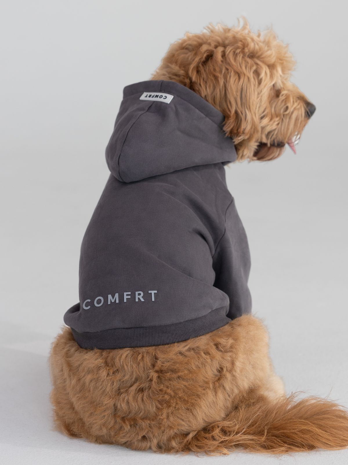 Tranquil Paw Hoodie -Pre-Order