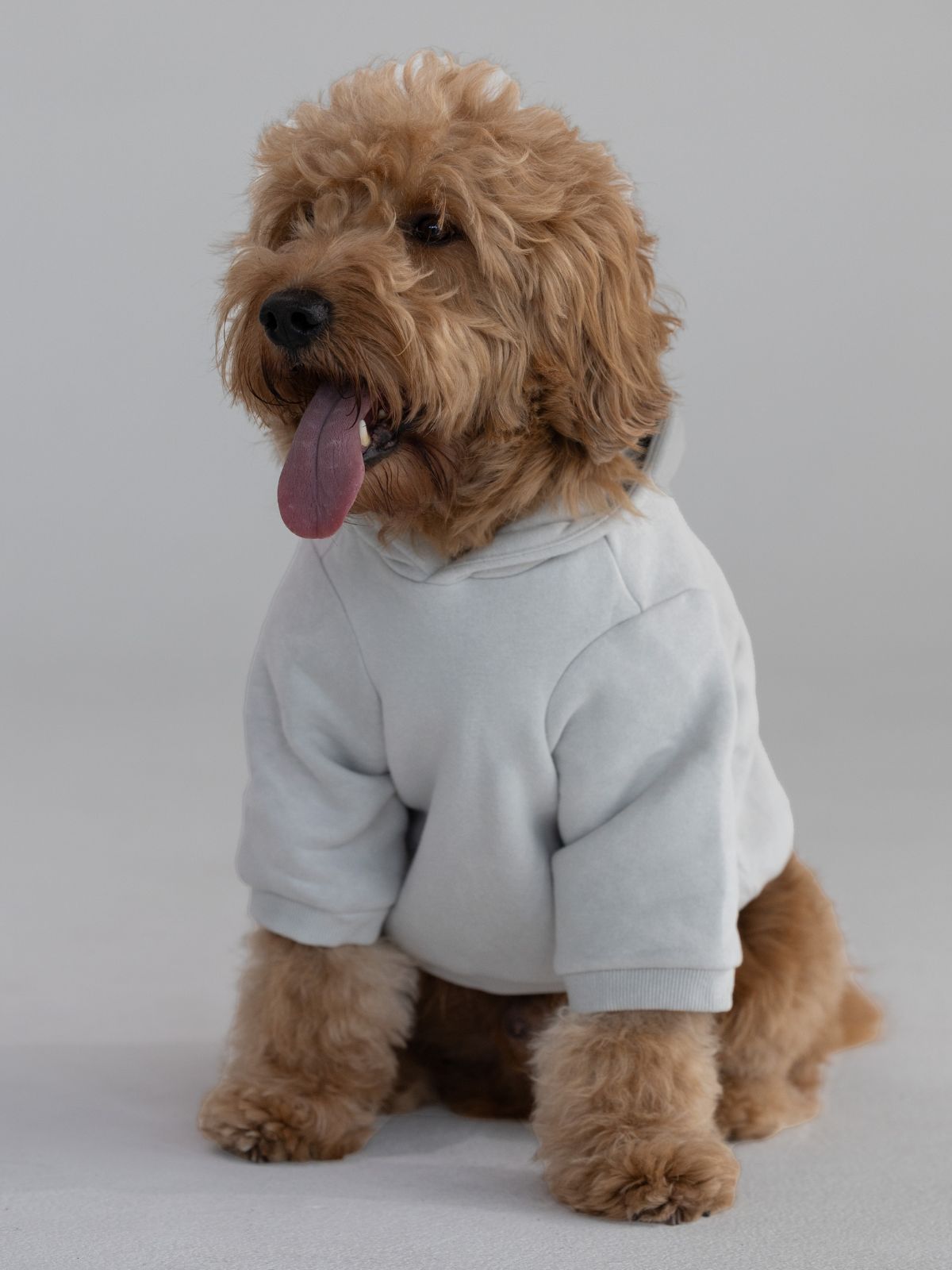Standard Paw Hoodie - Pre-Order