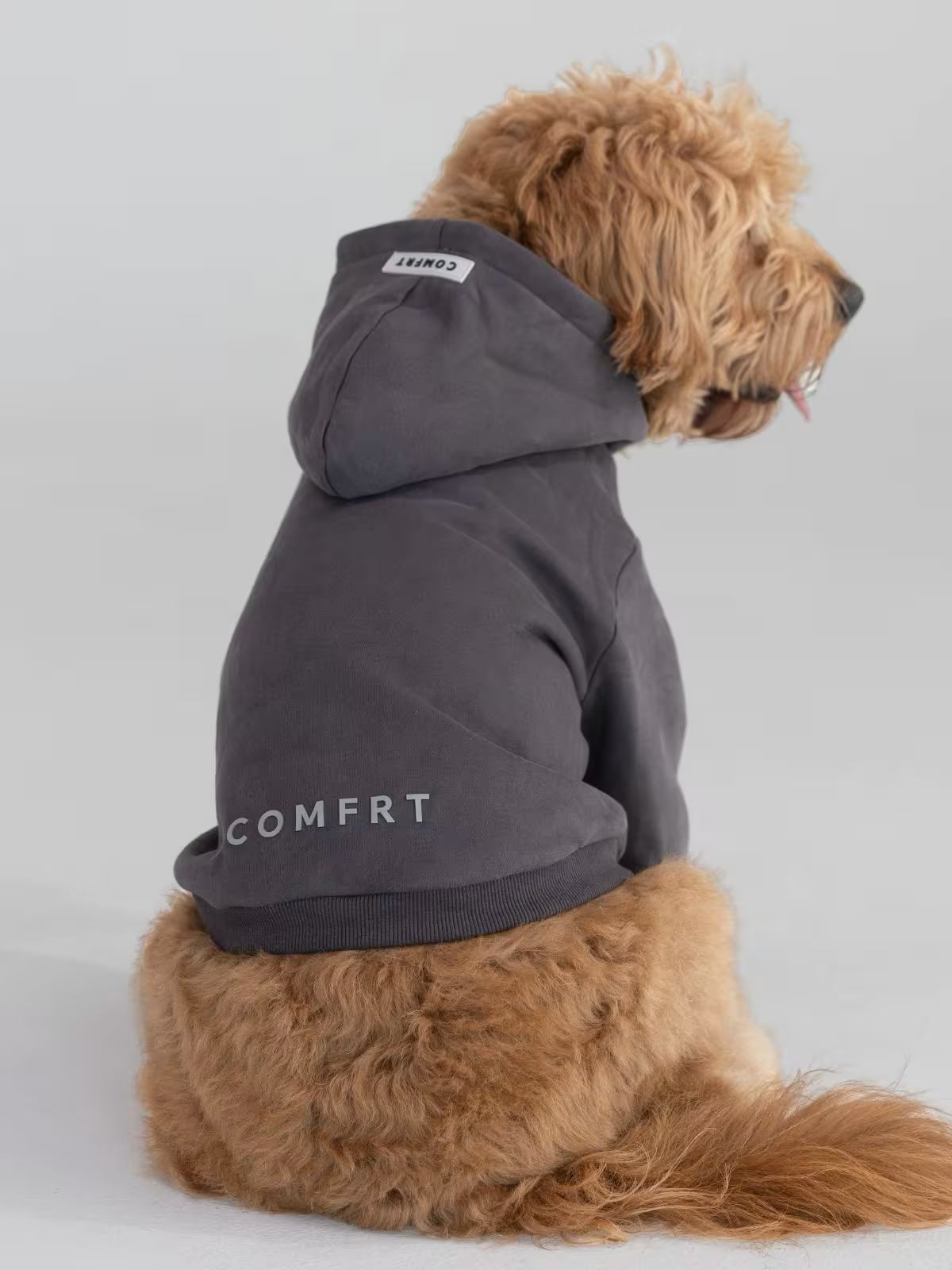 Paws Cozy Everyday Bundle