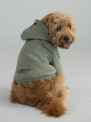 Coordinate Paw Hoodie - Pre-Order
