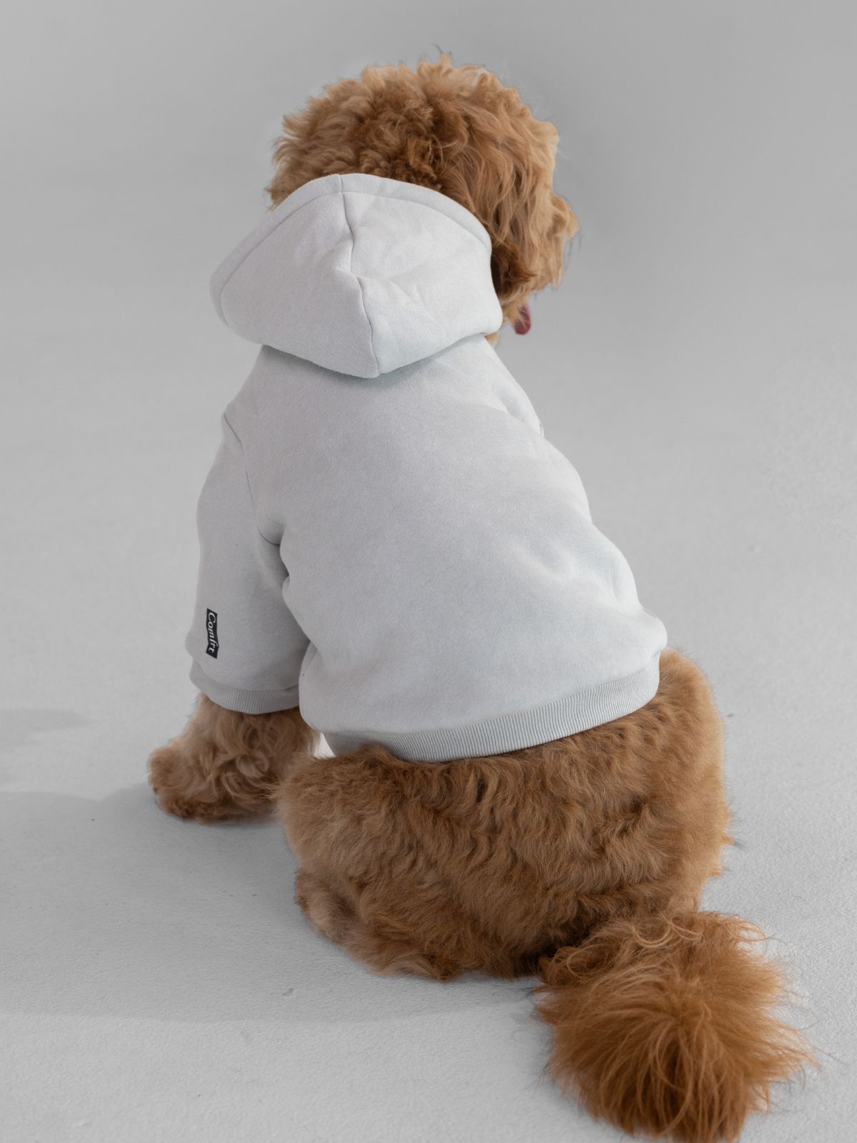 Standard Paw Hoodie - Pre-Order