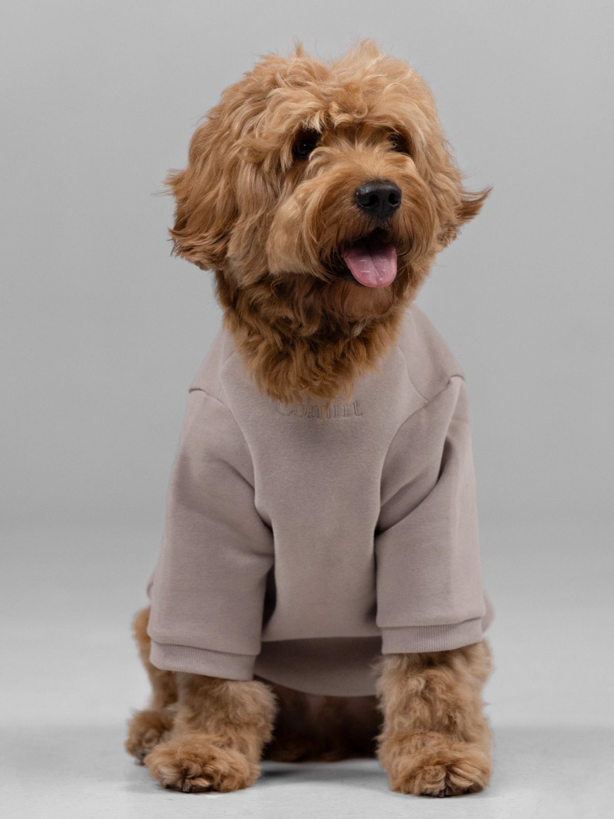 Signature Paw Hoodie -Pre Order