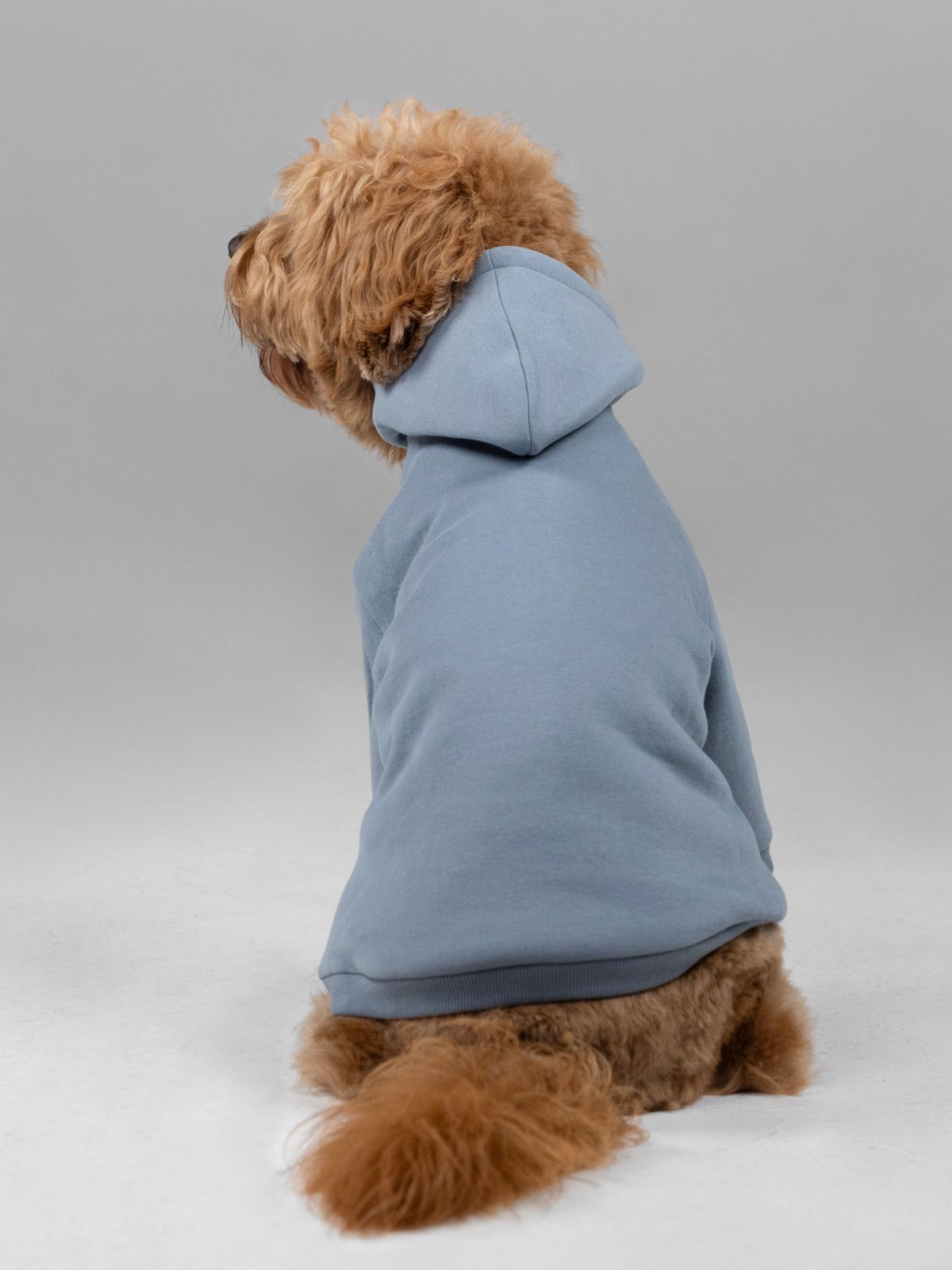 Signature Paw Hoodie -Pre Order